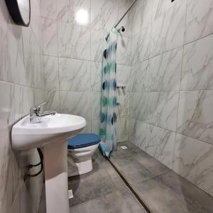 een badkamer met een wastafel, een toilet en een douche bij Naturalis Flats and Suites in Puerto Iguazú