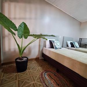 um quarto com uma cama e um vaso de plantas em Naturalis Flats and Suites em Puerto Iguazú