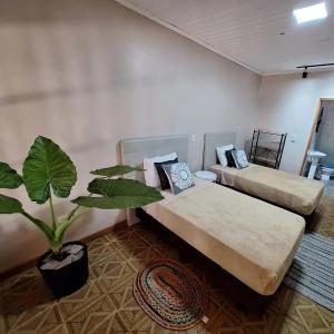 een woonkamer met 2 bedden en een potplant bij Naturalis Flats and Suites in Puerto Iguazú