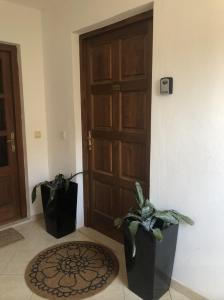 a room with a door and two plants in front of it at Apartment F&M in Karigador