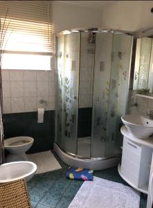 a bathroom with a shower and a toilet and a sink at Apartment F&M in Karigador