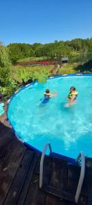 La alberca dentro o cerca de Rio Maullin Lodge