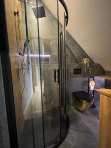 La salle de bains est pourvue d'une douche en verre et d'un lavabo. dans l'établissement Apartament Kamienica Loft, à Kudowa-Zdrój