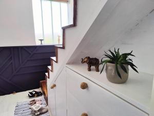 Fotografie z fotogalerie ubytování Hedonists Paradise v destinaci Omoljica
