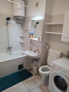 La salle de bains est pourvue de toilettes, d'un lavabo et d'un lave-linge. dans l'établissement Orašac/Dubrovnik, à Orašac