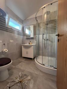 ein Bad mit einer Dusche, einem WC und einem Waschbecken in der Unterkunft Apartments Peronja Jelsa Seafront in Jelsa