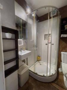uma casa de banho com um chuveiro, um WC e um lavatório. em Acogedor mono en Plaza Entrevero em Montevidéu