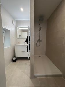 a bathroom with a shower and a sink and a toilet at L'Etape, logement climatisé ! in Beire-le-Châtel