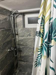 a shower with a shower curtain in a bathroom at VILA MARIALENA 