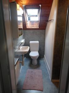 uma casa de banho com um WC, um lavatório e uma clarabóia em Gemütliche Dachwohnung em St. Gallen