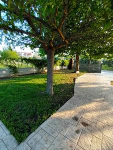 Gallery image of Nikolas home in Pefki