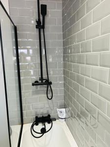 a bathroom with a shower and a sink at The Lucky Oak in Belfast