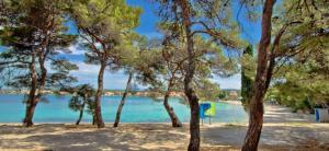 Fotografie z fotogalerie ubytování Apartman Punta Radman v destinaci Petrcane