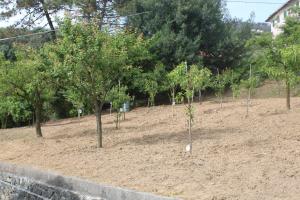 Vonkajšia záhrada v ubytovaní Le Ginestre