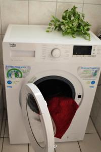 a washing machine with a plant on top of it at Villa Rosenrot in Userin