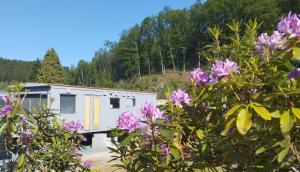 einen Wohnwagen im Wald mit lila Blumen in der Unterkunft Le Beau Rivage - M24 in Trois-Ponts