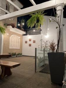 a room with a wooden bench and potted plants at Nuh Hostel - Lourdes in Belo Horizonte