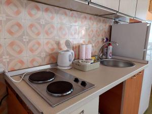 Gallery image of Apartman Boljević in Podgorica +11 photos