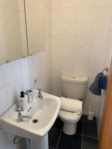 a bathroom with a white sink and a toilet at Loch Nuala in Galway
