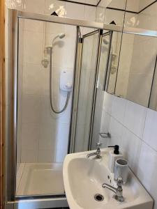 a bathroom with a sink and a shower at Loch Nuala in Galway