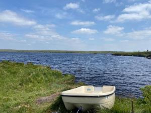 a boat sitting on the shore of a lake at Loch Nuala in Galway