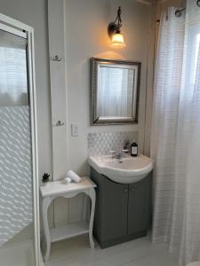 a bathroom with a sink and a mirror and a shower at Hôtel-Motel Vagues Vertes in Perce