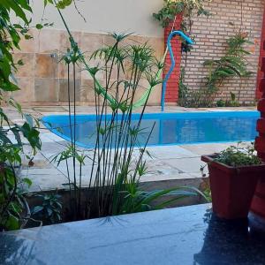 a swimming pool with plants in front of a building at Casa Boa Venttura Alugueis - Casa com ar e piscina ou Quartos com ar e cozinha Guajiru Trairi in Trairi
