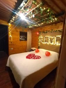 a bedroom with a bed with christmas lights on it at Glamping entre bosques in La Calera