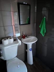 a bathroom with a white toilet and a sink at Rincón de Goye in Turrialba