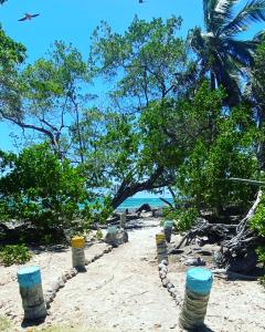 Islander House on Rocky Cay Beach في سان أندريس: شاطئ فيه مجموعه اشجار وسلسله