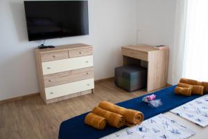 Villa Koraljka في فوديس: غرفة معيشة مع تلفزيون وسجادة زرقاء
