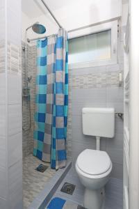 ein Bad mit einem WC und einer Dusche in der Unterkunft Apartments with a parking space Bribir, Novi Vinodolski - 19862 in Bribir