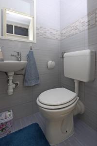 ein Badezimmer mit einem weißen WC und einem Waschbecken in der Unterkunft Apartments with a parking space Bribir, Novi Vinodolski - 19862 in Bribir
