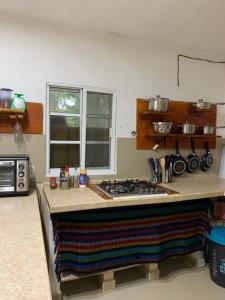 Η κουζίνα ή μικρή κουζίνα στο Kin Hostal and Camping