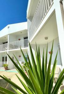 un edificio blanco con una planta delante en Nautilus by La Jamaca Hotels-Downtown La Parguera, en Lajas