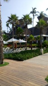 um passadiço com guarda-sóis e palmeiras num resort em Mayan Vidanta PLAYA departamento REMODELADO 2 y 3 recámaras em Acapulco