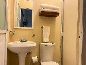 uma casa de banho com um WC, um lavatório e um espelho. em Estancia Santa Fe em Celaya