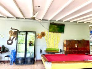 Zimmer mit Billardtisch und Wandmalereien in der Unterkunft New Hostel Manuel Antonio, Meet new people in Manuel Antonio