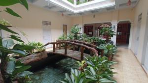 Manggasa Hotel في Makale: غرفة مليئة بالنباتات وجسر خشبي