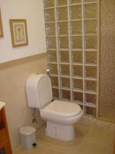 uma casa de banho com um WC e uma parede com um bloco de vidro. em 1Bed Tagus River View em Alhandra