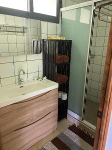 y baño con lavabo y ducha. en Pension Reva Teahupoo, en Toanoano
