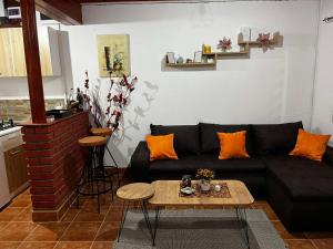 a living room with a black couch and a table at Studio Vikendica Bele Vode in Banja Koviljača