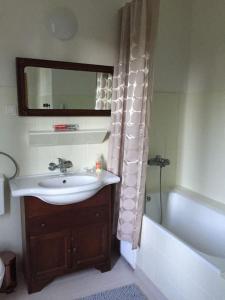 uma casa de banho com um lavatório, uma banheira e um espelho. em Kaszuby Dom nad jeziorem em Suleczyno