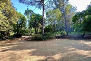 Příroda nedaleko vily