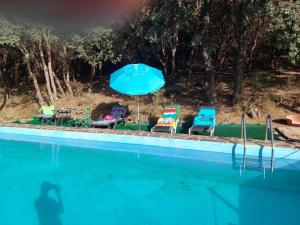 a group of chairs and an umbrella next to a swimming pool at Cortijo Close in Busquístar +35 photos