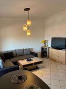a living room with a couch and a tv at Apartmani Ivanic in Vir