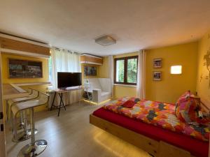 a bedroom with a bed and a desk and a television at Direkt am Main in Karlstadt