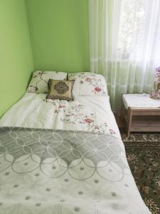 a bed in a room with a green wall at Domek u Czesi 