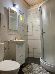 y baño con aseo, lavabo y ducha. en Cabanutze Satic en Rucăr