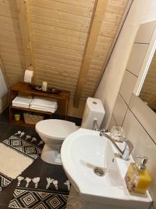 La salle de bains est pourvue de toilettes blanches et d'un lavabo. dans l'établissement Cabanutze Satic, à Rucăr